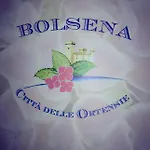 Sul Bolsena